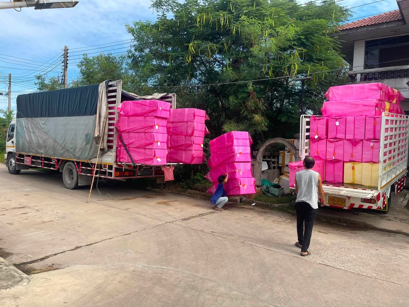 ภาพส่งมอบกล่องโฟมหลายเที่ยว